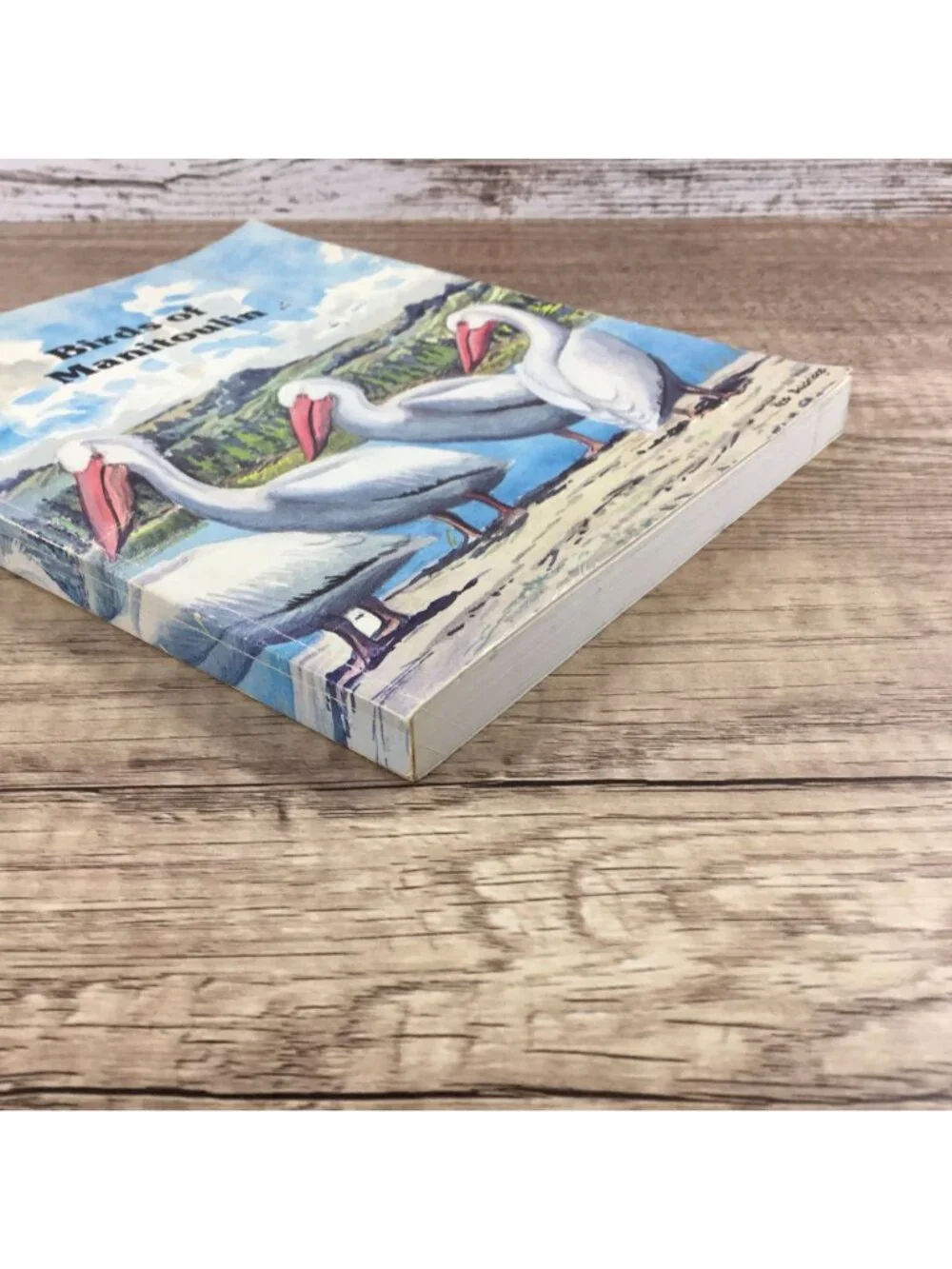 Birds Of Manitoulin Island By John C. Nicholson Second Edition Revised 1981